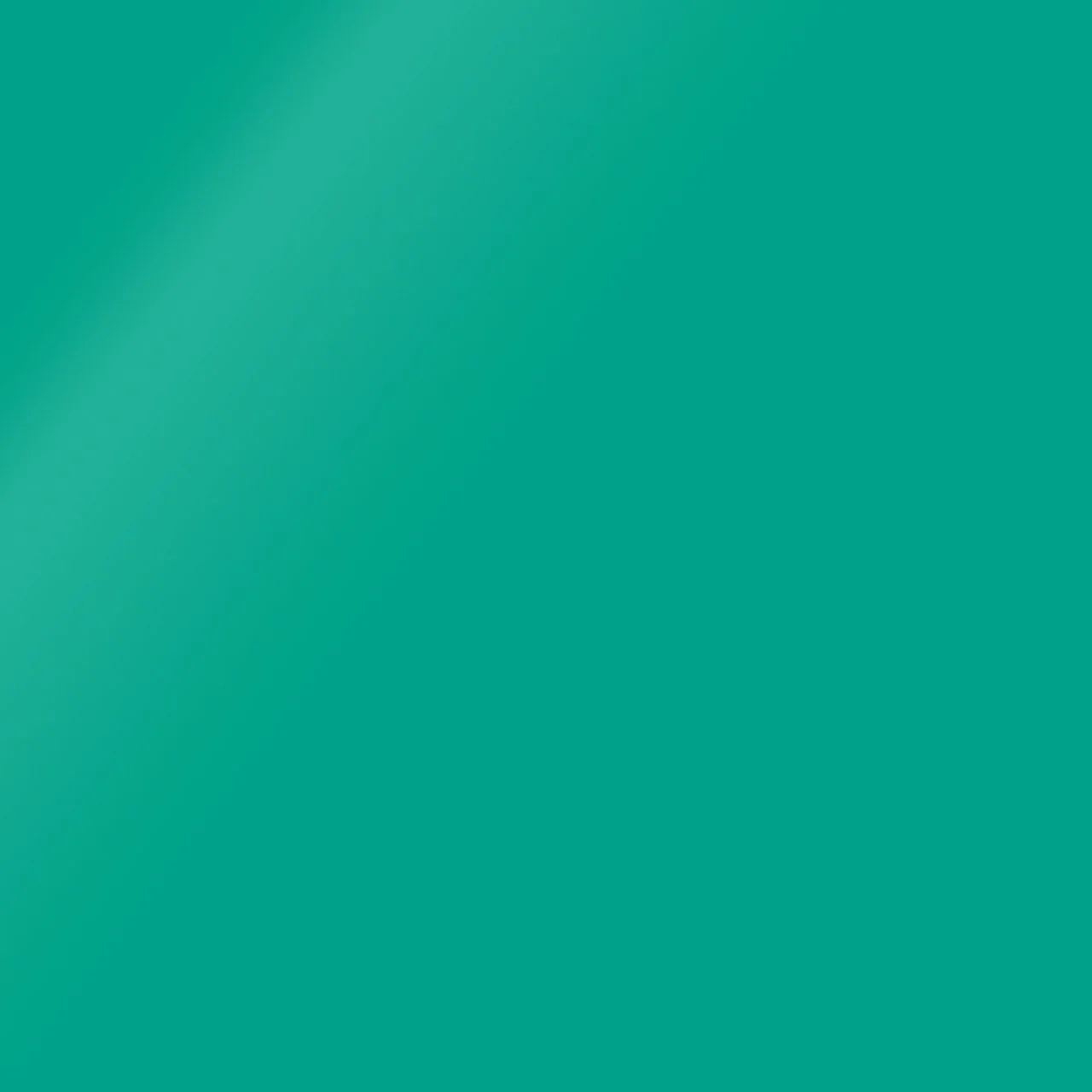 POR-15 TOP COAT - Image 11